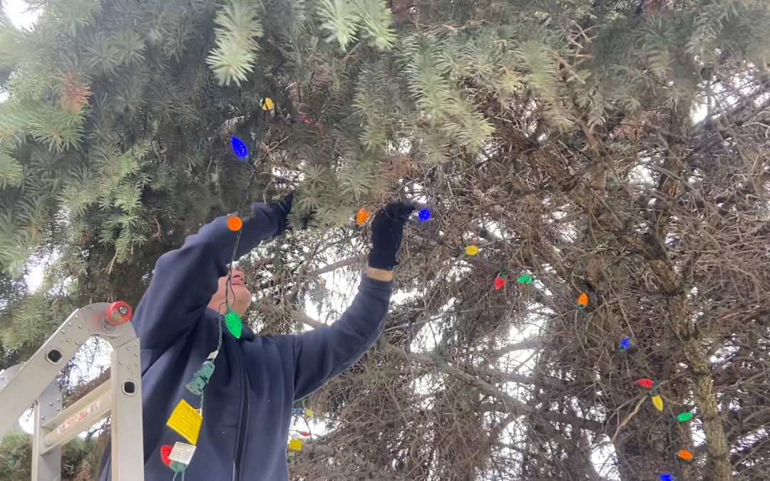 Bannock County lights Courthouse trees for holiday season