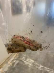 hot dog found with ibuprofen stuffed inside