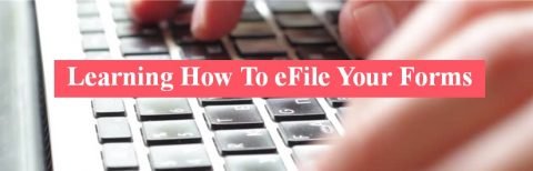 Easy Efile Instructions | Bannock County
